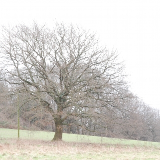 04 DSC_0052 Januar