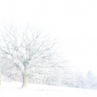 05 DSC_0013 Februar