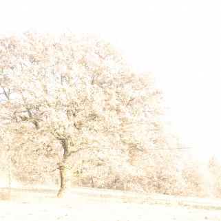 14 DSC_0017 November