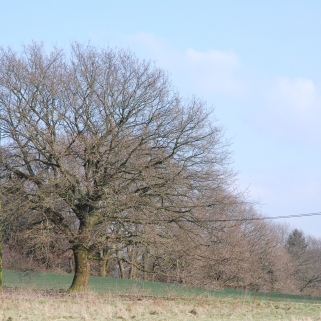 05 DSC_0002 Februar